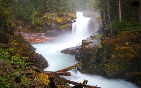 Misty Forest Waterfall - nature, forest, waterfall, misty