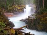 Misty Forest Waterfall