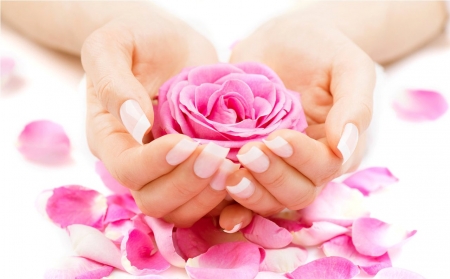 :) - hands, beauty, lady, petals, photography, rose, model, flower