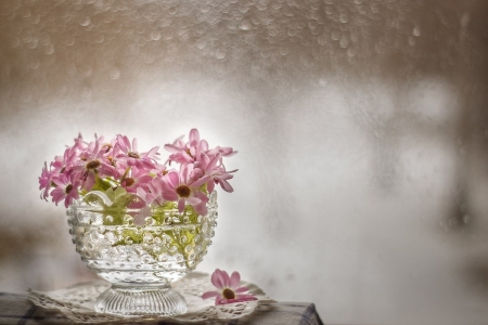 Flowers - flowers, photography, soft, vase