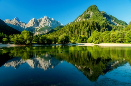 Tha nature of Slovenia - lake, sky, slovenia, mountain, trees, greenery, shore, peak, serenity, nature, reflection, tranquil, mirror, beautiful