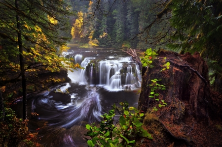 Waterfall - Forest, Rocks, Nature, Waterfall