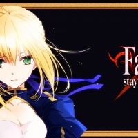 Fate stay Night