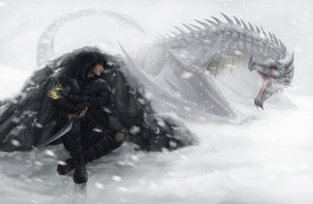 Fighting The Snow Dragon