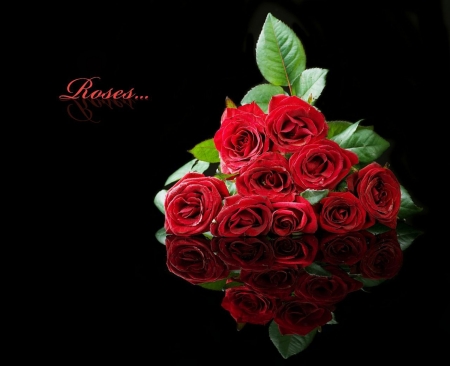 Roses - flowers, red, roses, nature