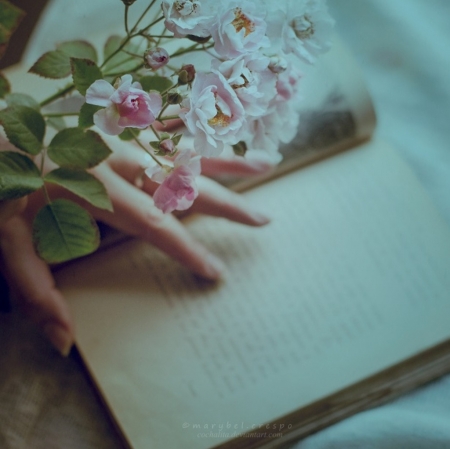 Lessons of Love - flowers, hands, book, soft