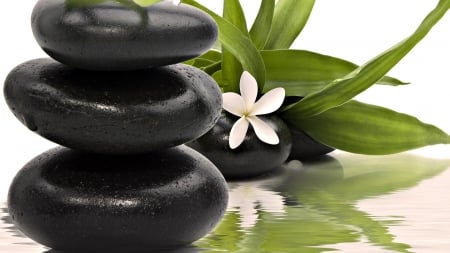 Spa - water, spa, stones, flower