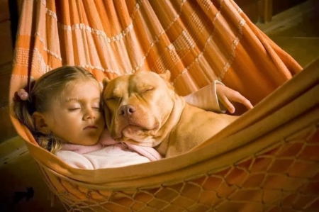 ~  Sleep Time  ~ - Together, Dog, Child, Sleeping