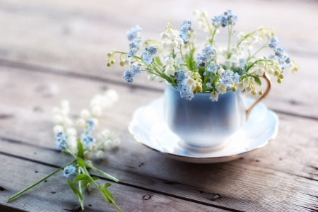 Still Life - blossoms, flower, delicate, lily the valley, photogrpahy, beautiful, flowers, mug, cup, blue, lily of the valley, forget me not, photography