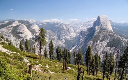 Glacier Point, Yosemite Valley - firs, california, national park, landscape, sierra nevada, peaks, usa