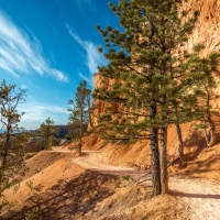 Bryce Canyon, Utah