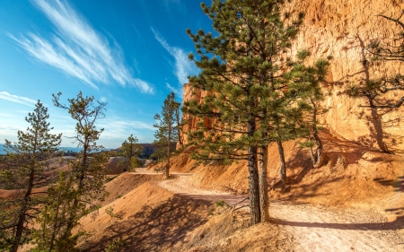 Bryce Canyon, Utah - usa, national park, trees, landscape, mountains