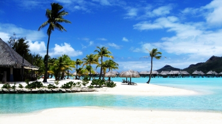 Exotic Beach - hut, beach, ocean, trees