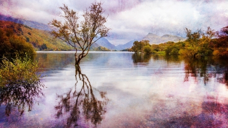 Lake - nature, sky, lake, trees