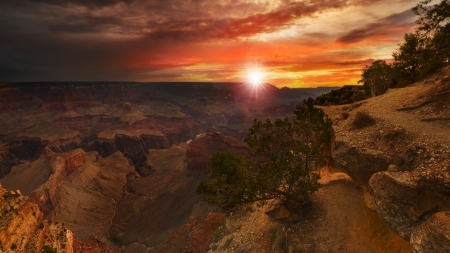 Sunset over canyon - trees, sunset, nature, canyon