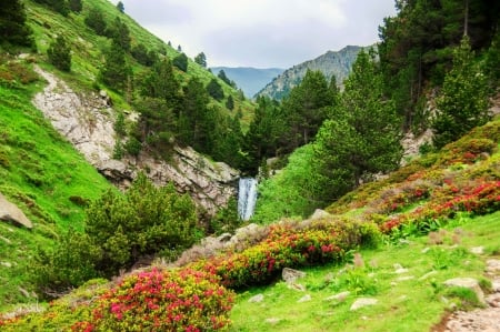 Mountain waterfall - slope, trees, hills, greenery, summer, mountail, waterfall, nature, fall, beautiful, grass, wildflowers