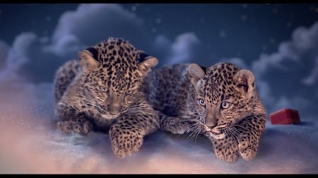 Cartier Leopard Cubs - Cartier, Night, Winter, Christmas, Leopard