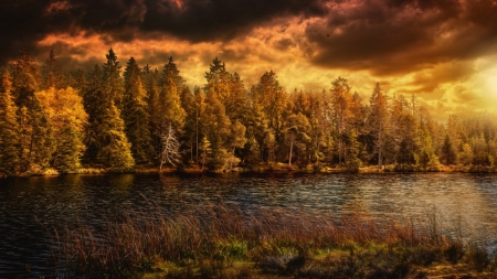 Strom over thre river - forest, clouds, strom, river