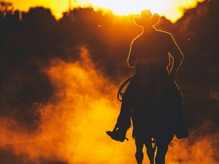 Cowboy - dust, horse, rider, shadow