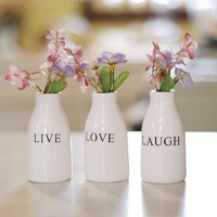 Live ~ Love ~ Laugh