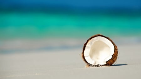 Maldives - coconut, ocean, sand, beach