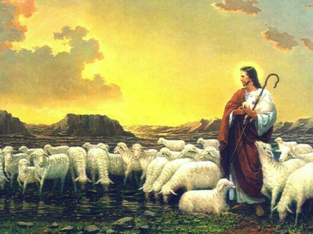 Jesus good shepherd - christ, jesus, sheep, god, love