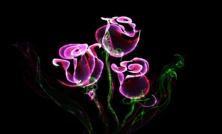 Purple Glow - flowers, line, glow, abstract