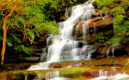 Forest waterfall - nature, fall, trees, forest, beautiful, waterfall, rocks