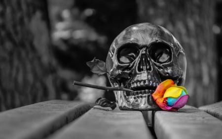 Swaggering beyond death - skull, death, rainbow, colorful, rose, black, white, yellow, pink, blue, orange