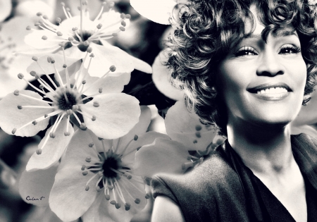 Whitney Houston - sakura, by cehenot, singer, girl, spring, Whitney Houston, flower, actress, black, smile, white, woman, artist