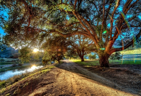 River Sunset - hdr, trees, road, sun