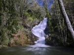 Raging Forest Waterfall