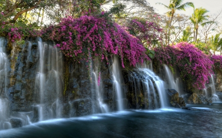 Waterfall and Flowers - flowers, waterfall, purple, nature