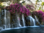 Waterfall and Flowers