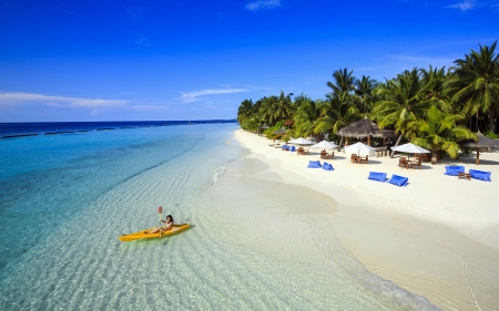 Paradise - palms, nature, beach, ocean