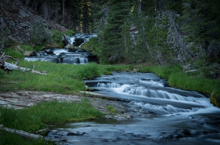 Glow with the Flow - beauty, california, mountain, trees, flow, pine, water, waterfall, pentax, nature, forest, lassen