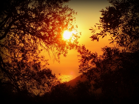 Sunset Over the Mountains - nature, trees, water, sunset, mountains, sea, plants