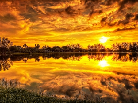 Lake Sunset - clouds, trees, water, yellow, landscape, reflection, sunset, nature, lake