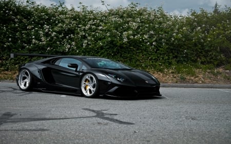 Lamborghini-Aventador - black, custom wheels, lambo, wing