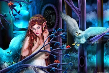 Deessedelalune - photomanipulation, lady, goddess, fantasy, bird, moons, creative pre-made, love four seasons, owls, weird things people wear, digital art, owl