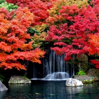 autumn waterfall