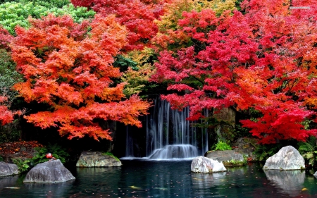 autumn waterfall - rock, tree, autumn, waterfall