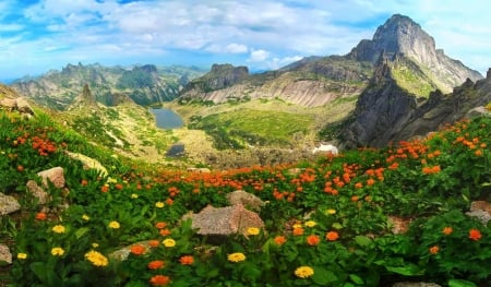 Ergaki National Park, Russia - sky, lake, national park, hills, mountain, russia, greenery, rocks, view, wildflowers