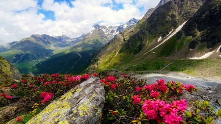 Mountain road - hills, beautiful, road, walk, mountain, stones, wildflowers, path, nature, sky, rocks