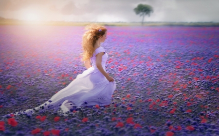 End of spring - poppy, purple, summer, woman, red, girl, field, flower