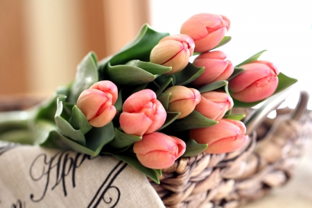 Tulips - leaves, bouquet, blossoms, petals