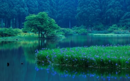 Lake Biwa - takashima, nature, biwa, lake, japan, scenery, japanese