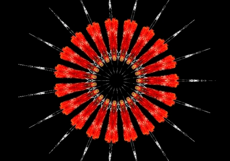 Abstract - abstract, black, flower, red