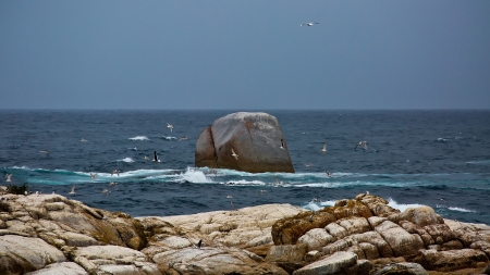 Rocks - nature, water, sea, rocks