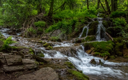 Stream - stream, nature, water, tree